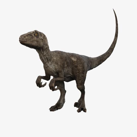 动植物元素动物>利爪3d恐龙收藏[声明]觅元素所有素材为用户