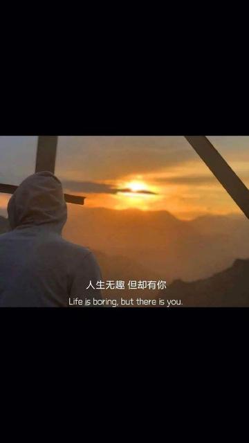 关于树叶黄了的说说