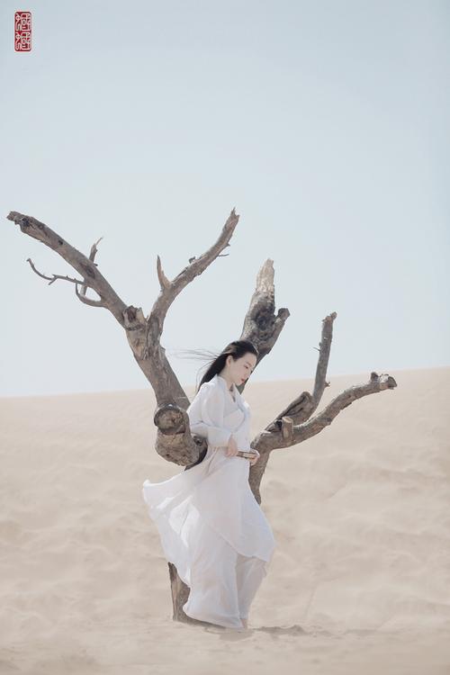 摄影师蝈蝈小姐摄影作品国韵《美人吟》