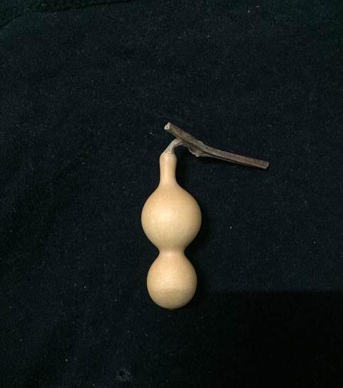 天津小长嘴儿倒福葫芦八宝草里金三亭蚂蚁