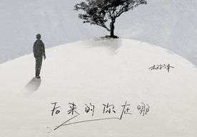 后来的你在哪(树泽)