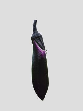 茄子素材--汇图网huitu.com