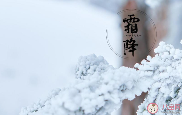 房地产霜降节气文案