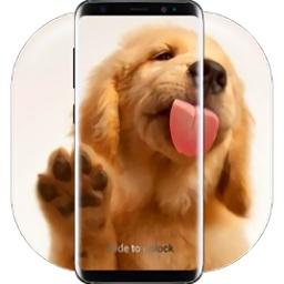小狗舔屏动态壁纸app下载