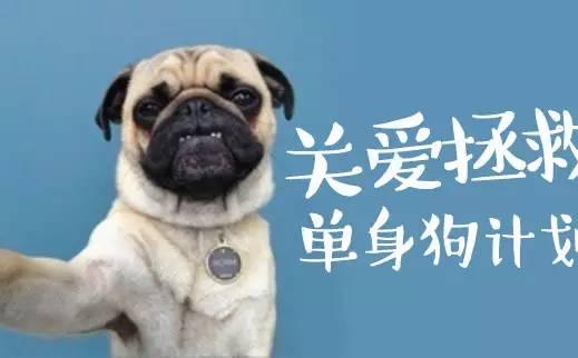 想找情人的搞笑句子,找个情人搞笑文案?-语录网