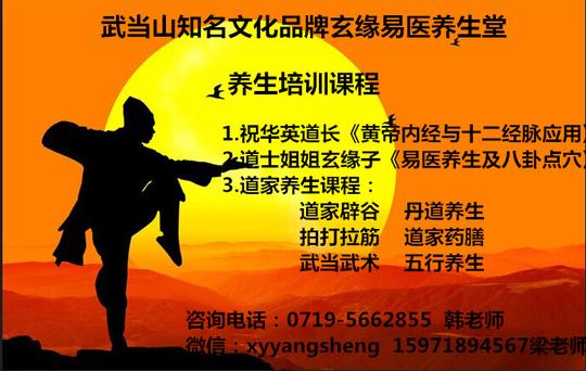 著名道医武当山祝华英道长的著作《黄帝内经十二经脉揭秘与应用》