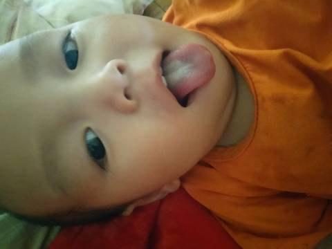 八个月宝宝吃什么好呢