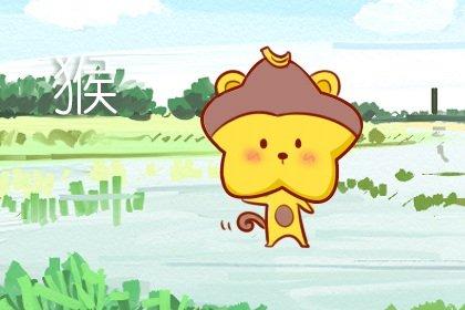 猴宝宝备孕计划