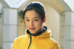 张延有哪些代表作品（张延是怎么走红火的）