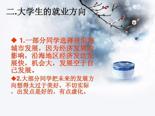 大学生创业计划书ppt.