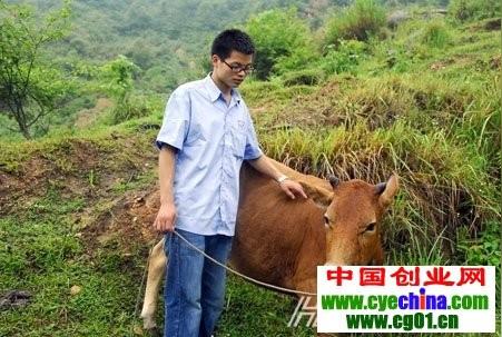 大学教师返乡养牛创业5