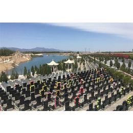 天津哪个公墓被淹