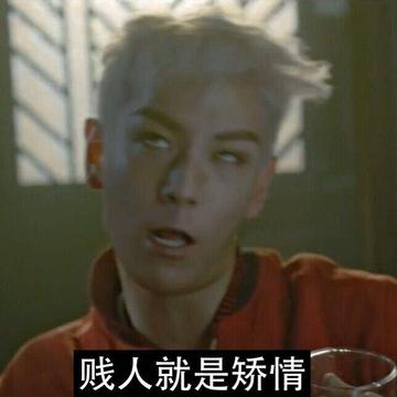 贱人就是矫情表情包华妃