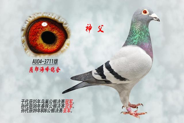重金求眼是什么意思什么梗