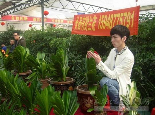 长春君子杯君子兰博览会展会掠影一展会专栏中国君子兰大家网