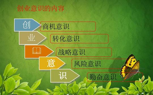 创业精神与创业素质的内容与例子