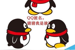 qq怎麼單人匿名