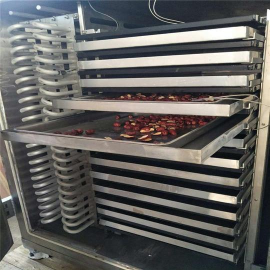 宠物食品冻干机墨鱼籽真空冷冻干燥机菌类冬虫夏草冻干设备