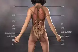 日本人体解剖术- 头条搜索