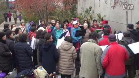 1039《谁不说俺家乡好》陶然亭月季合唱2016年11月20日