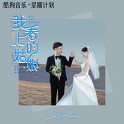 我看上的姑娘(杨小壮)