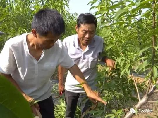 利辛农民董旭的故事:创业不易,贵在坚持!