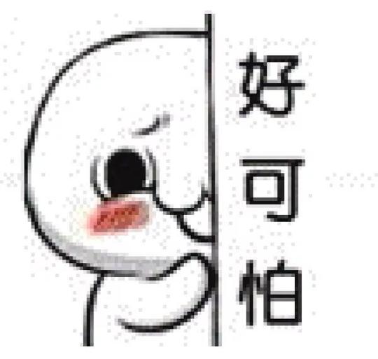 只是刚好最近确实想申请一笔10万元的贷款做生意用,于是就跟对方详细
