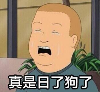 我真是日了狗了搞笑表情包
