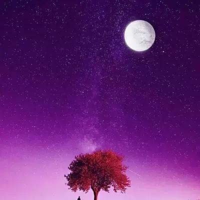 星空背景图浪漫星空美丽夜景,风景静物,花朵,唯美,快手