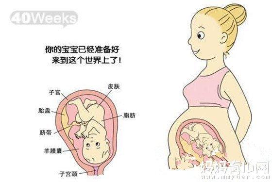 胎儿神经系统发育的关键时期