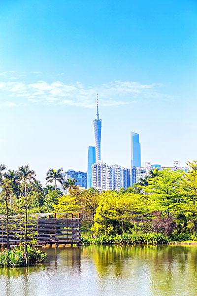 广州海珠湖风景_图片大全—全景创意图库（quanjing.com）中国领先的正版图片视频素材网站
