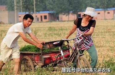 在农村有什么致富的门路吗?快速致富创业赚钱的门路在