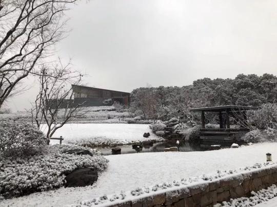 旅游正文今早推开窗,好多人被窗外的雪景美哭了朋友圈里也到处是