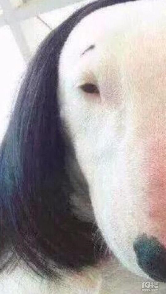 哎呀妈呀脑瓜疼,脑瓜疼。