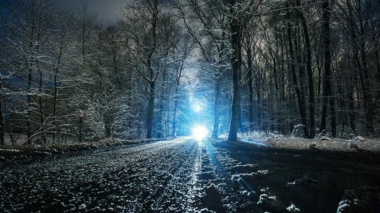冬天夜晚树林-素材公社tooopen.com
