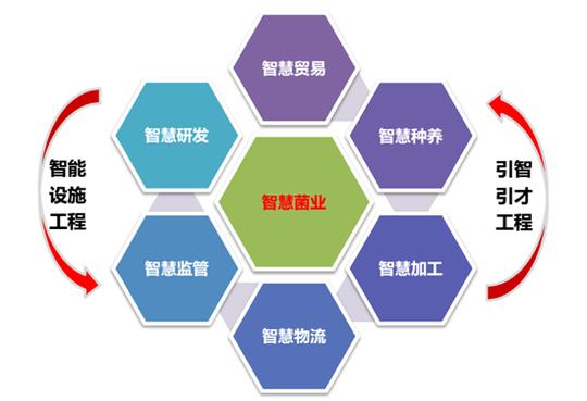加强创业创新支持强化科技支撑