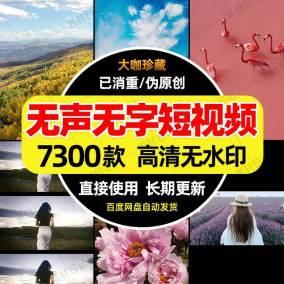 抖音情感励志无声无字背景风景短视频素材包原创自媒体引流合集