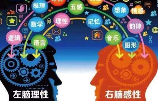 2018有前景的创业项目:国翰全脑教育