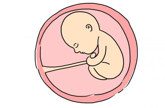 孕妇肚子大小跟胎儿发育有关吗?