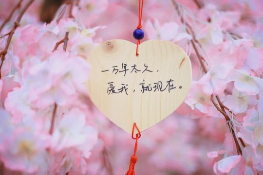 关于思念的诗句有哪些(思念亲人的唯美句子)