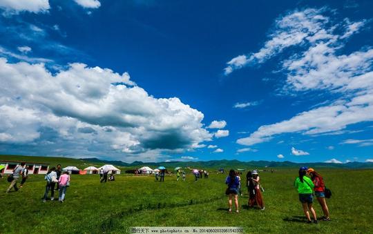 桑科草原桑科草原图片素材下载甘肃夏河蓝天白云旅游风景名胜