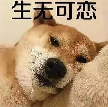 终于来了!各大app一键关闭个性化广告