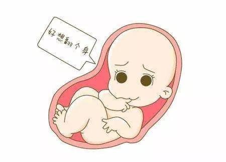 羊水少喝乌梅汤可以增加羊水量吗