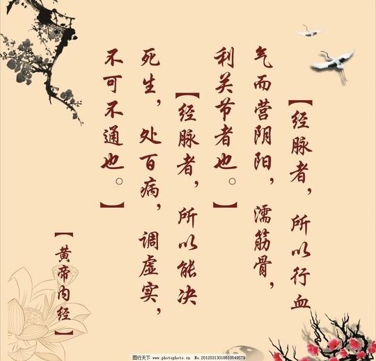 黄帝内经图片