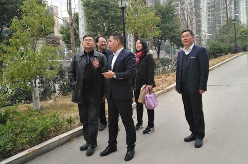 谢军到轻盐新阳光产业投资有限公司调研