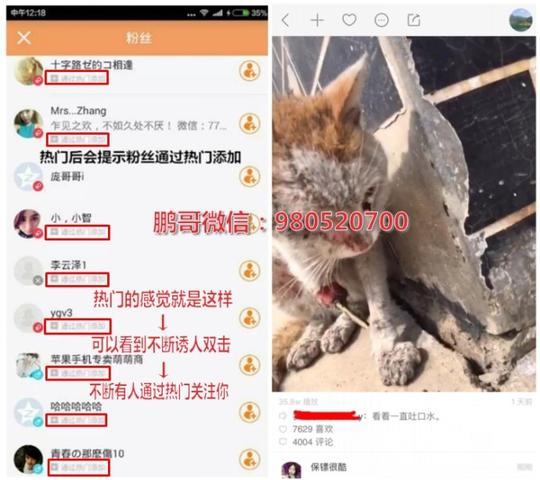 快手制作文字,怎样才能和拍的段子说的话
