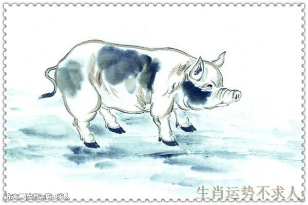2019年猪宝宝起名大全马姓