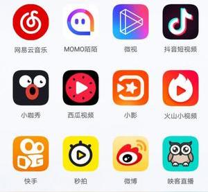 抖音快手微视热门照图片视频去水印logo小软件神器教程