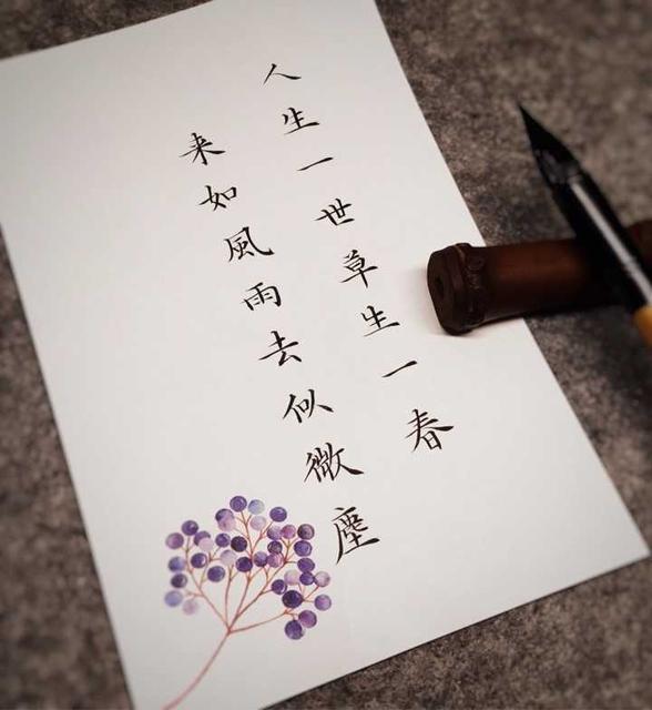 一生一世电视剧的经典台词