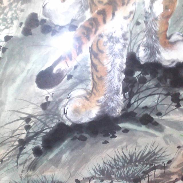 正宗上山虎图片 头条搜索